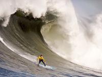 开云下载-猛龙强行终结尼克斯，武切维奇在意甲焦点战接管比赛—体育世界的双城记