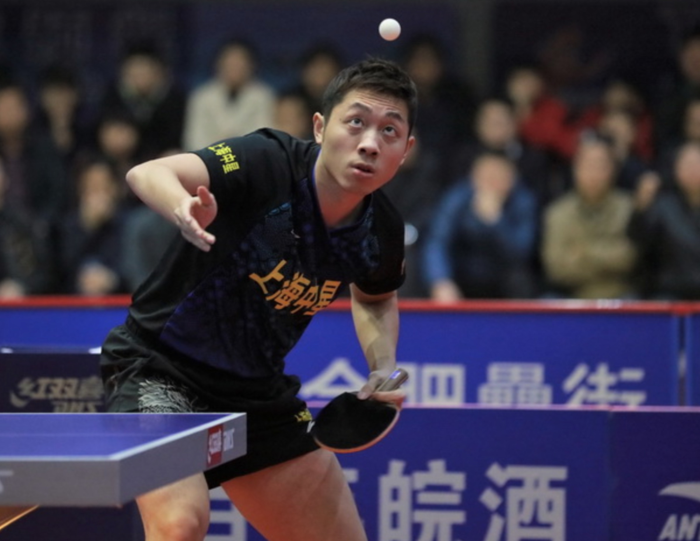 包含瑞典乒乓球队完胜日本乒乓球队，许昕高光表现的词条