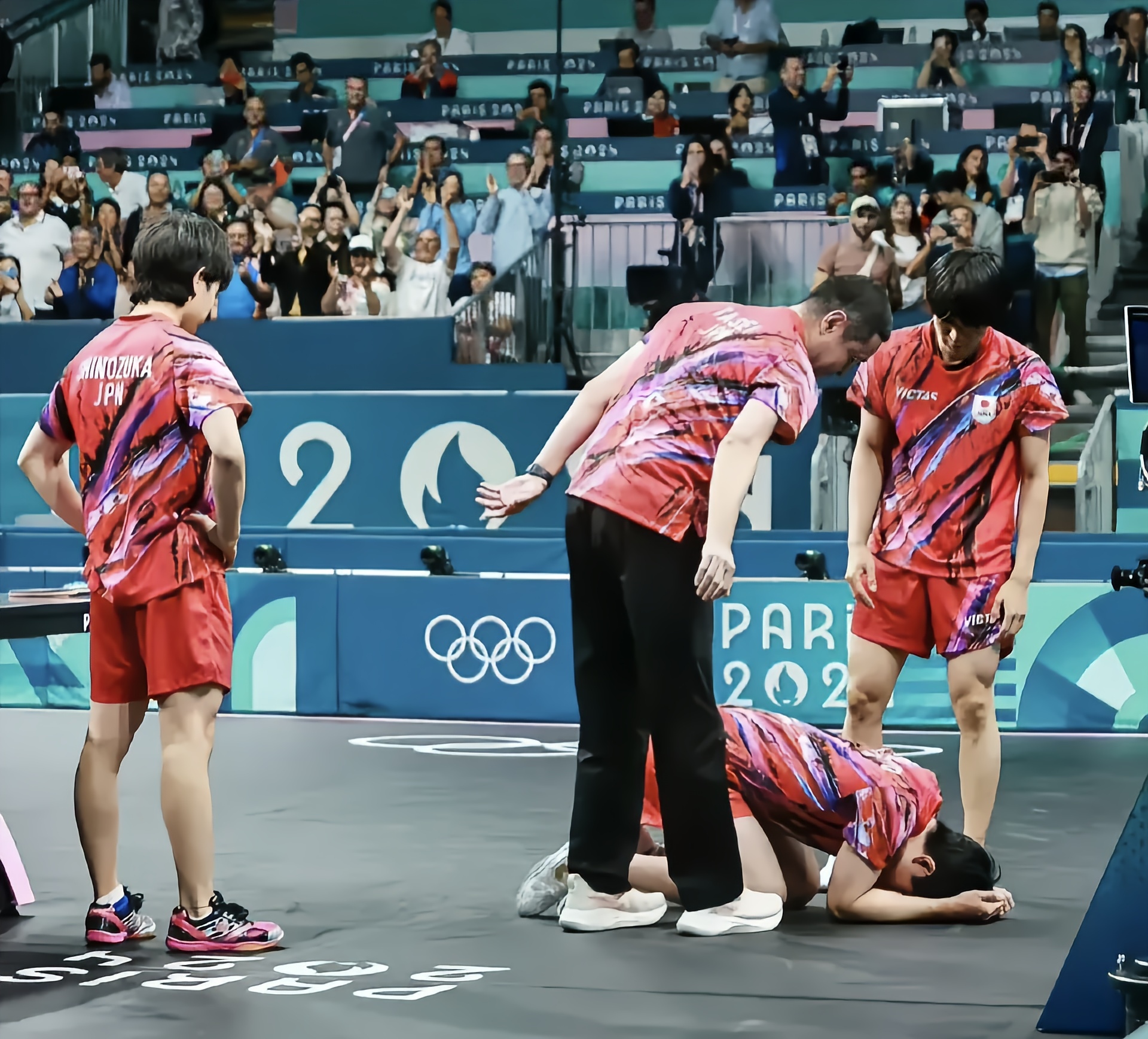 关于法国队险胜奥地利队，张本智和高光表现的信息